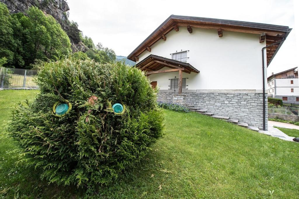 The Green Owl Cir 0001 Antey-Saint-André Buitenkant foto